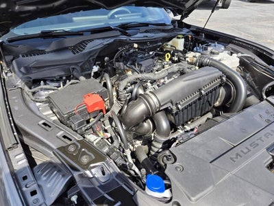 2025 Ford Mustang EcoBoost