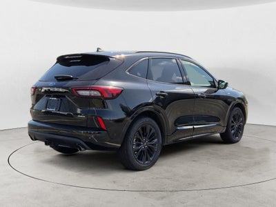 2024 Ford Escape ST-Line Elite